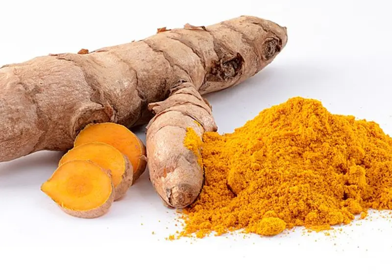 Fresh turmeric root, orange slices and a pile of turmeric powder